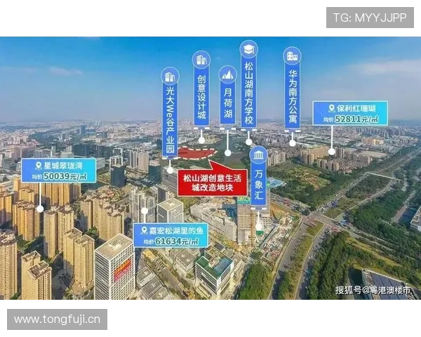 星城we旗舰网站全面介绍与最新功能解析 星城we旗舰网站全面介绍与最新功能解析