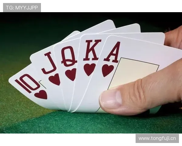 三公三孤：结合最新游戏版本的三公三孤玩法变化与应对策略